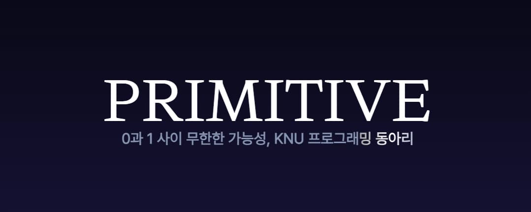 Primitive 프로젝트 이미지